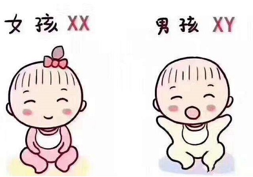 試管嬰兒攻略怎么提高卵子質量？