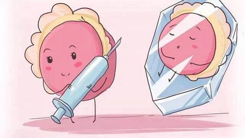 試管嬰兒怎么做？做試管前體重會升高嗎？