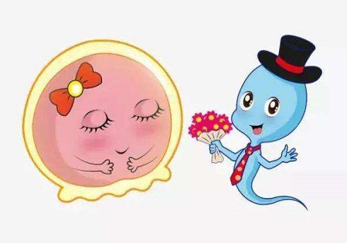 泰國試管費(fèi)用高是由哪些因素決定的