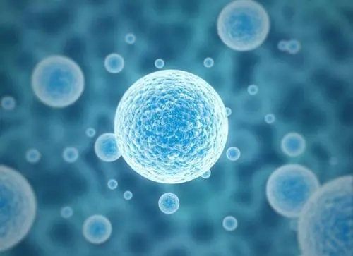 俄羅斯試管嬰兒要多少錢可以成功