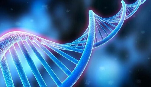 去俄羅斯做第三代試管嬰兒需要什么證件及手續(xù)